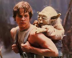 Yoda’s Tips on Urban Survival