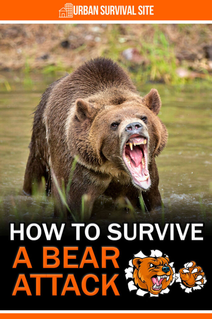 How To Survive A Bear Attack | Blade Shopper