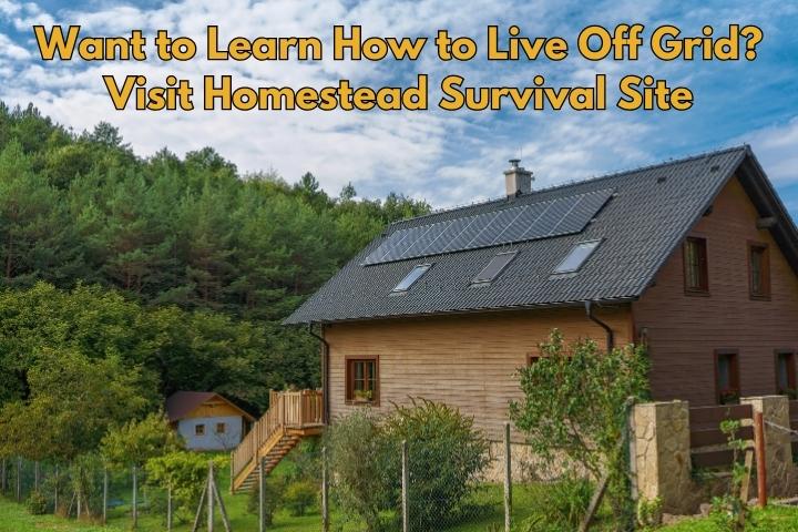 Survival Bows How Archery Can Help You Survive SHTF