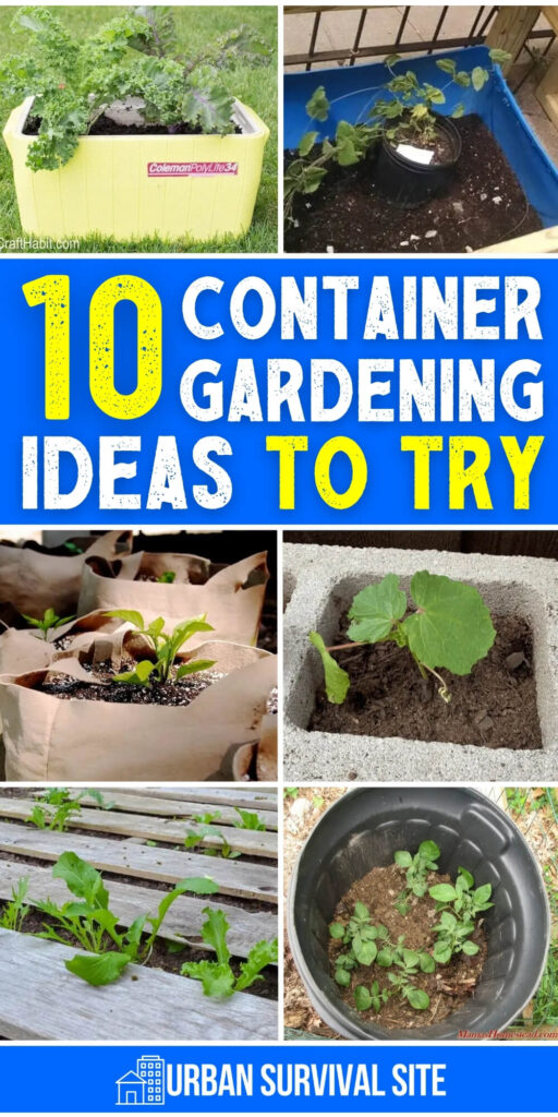 10 Container Gardening Ideas
