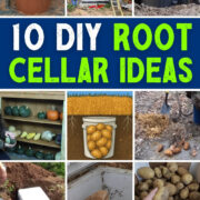 Pinterest Hidden Image