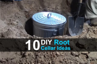 10 DIY Root Cellar Ideas
