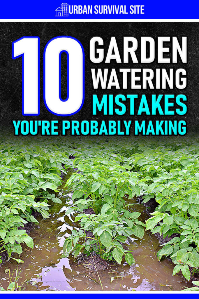 10 Garden Watering Mistakes You're Probably Making