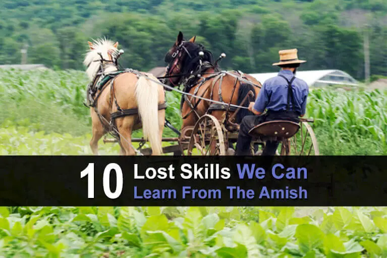 10 Lost Skills We Can Learn From The Amish