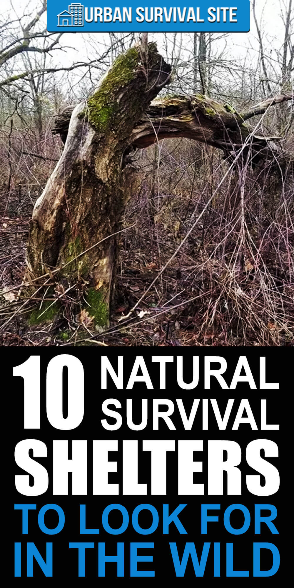 10 Natural Survival Shelters To Look For In The Wild