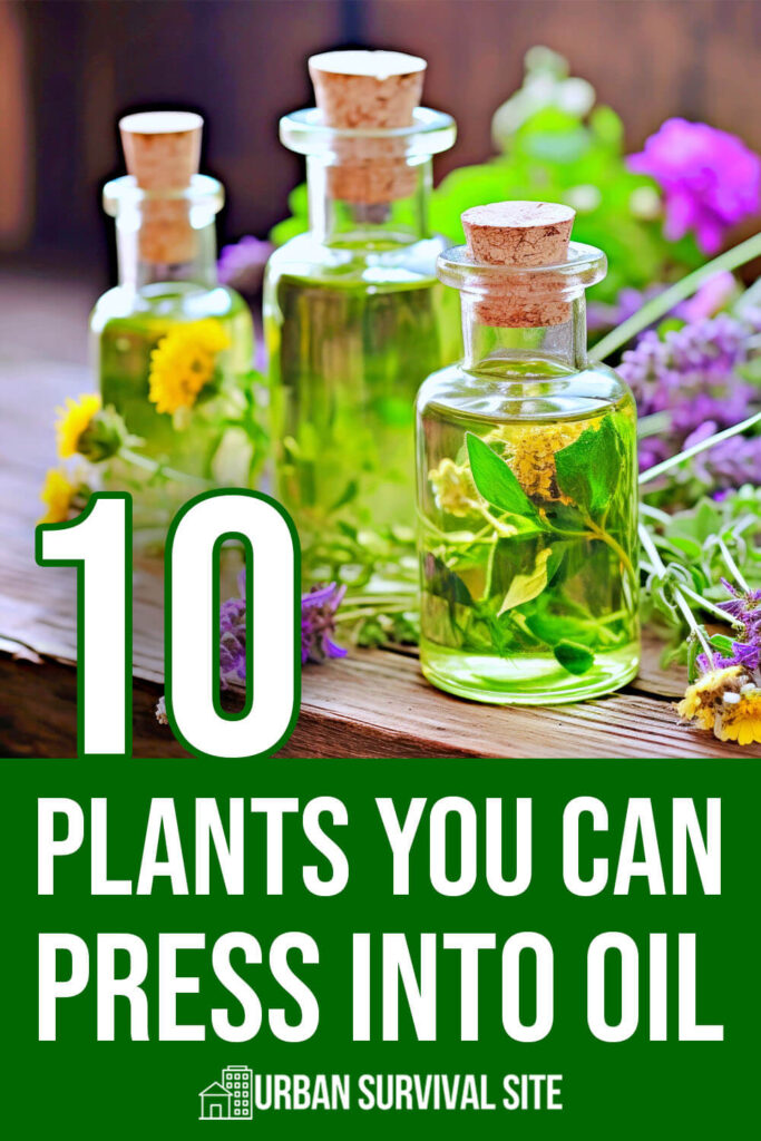 10 Plants You Can Press Into Oil