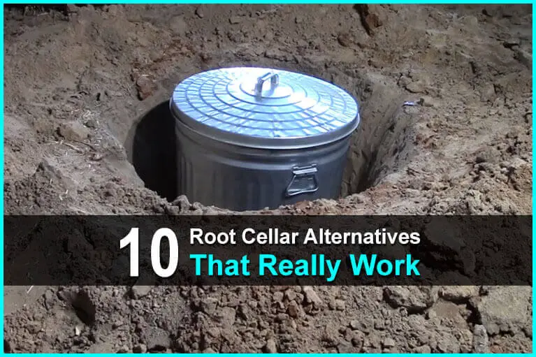 10 Root Cellar Alternatives That Really Work