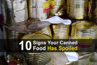 10 Signs Your Canned Food Has Spoiled