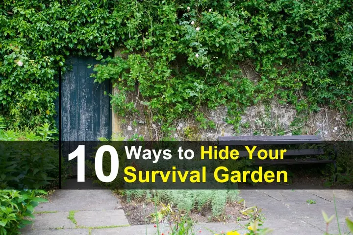 10 Ways To Hide Your Survival Garden
