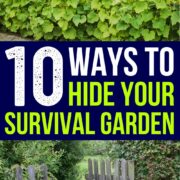 Pinterest Hidden Image