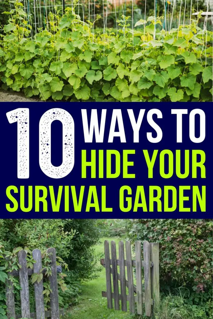 10 Ways to Hide Your Survival Garden