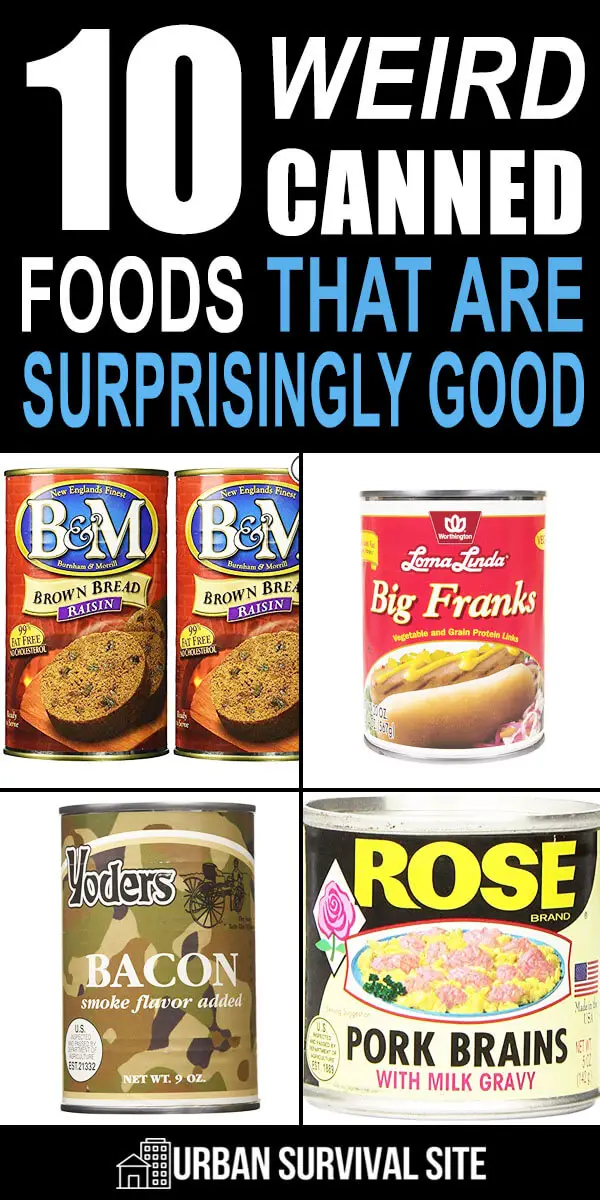 10 Weird Canned Foods That Are Surprisingly Good