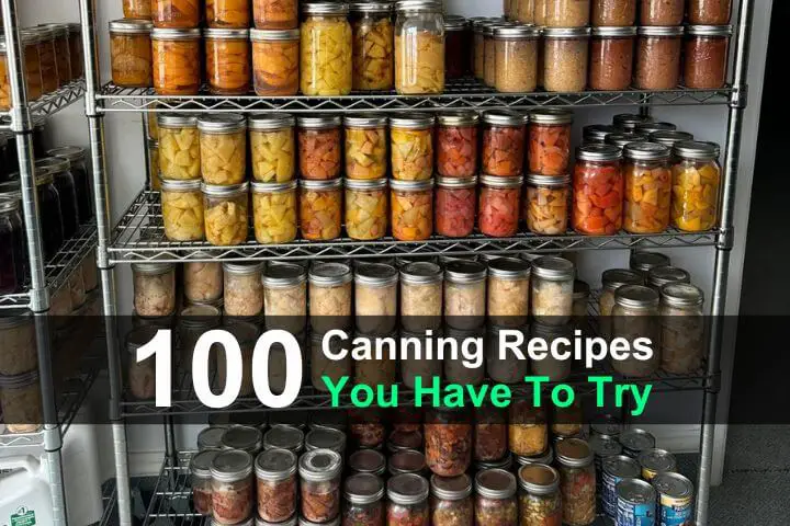 100 Delicious Canning Recipes You Have To Try