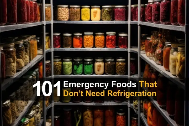 101 Emergency Foods That Don’t Need Refrigeration 101 Emergency Foods That Don’t Need Refrigeration