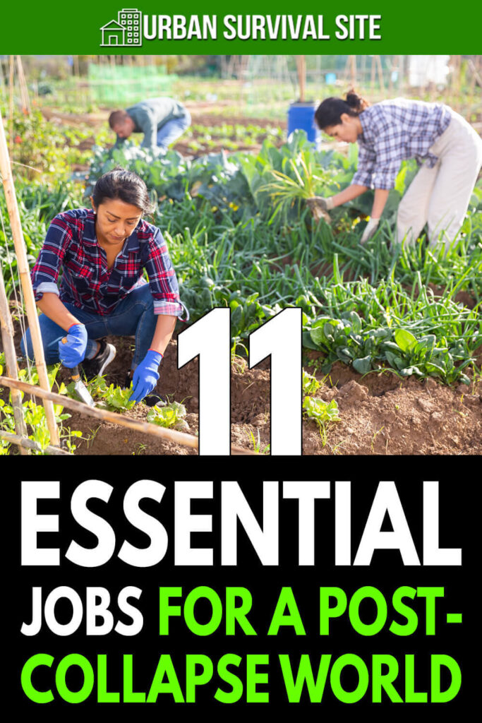 11 Essential Jobs for a Post-Collapse World