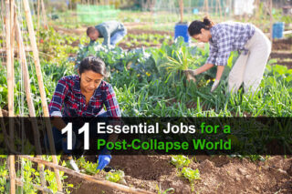11 Essential Jobs for a Post-Collapse World