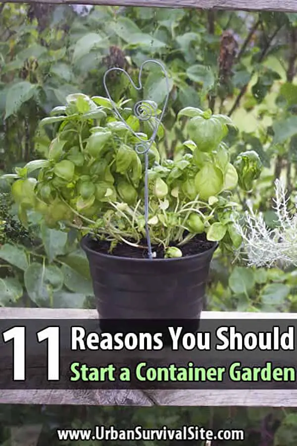 container-gardening-101-ideas-tips-the-home-depot-canada