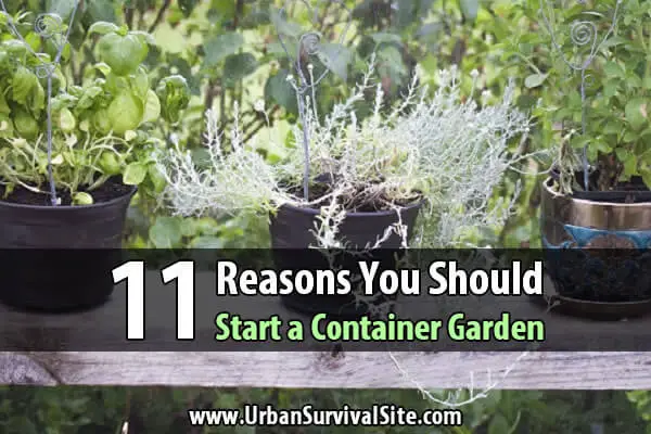11 Reasons You Should Start a Container Garden