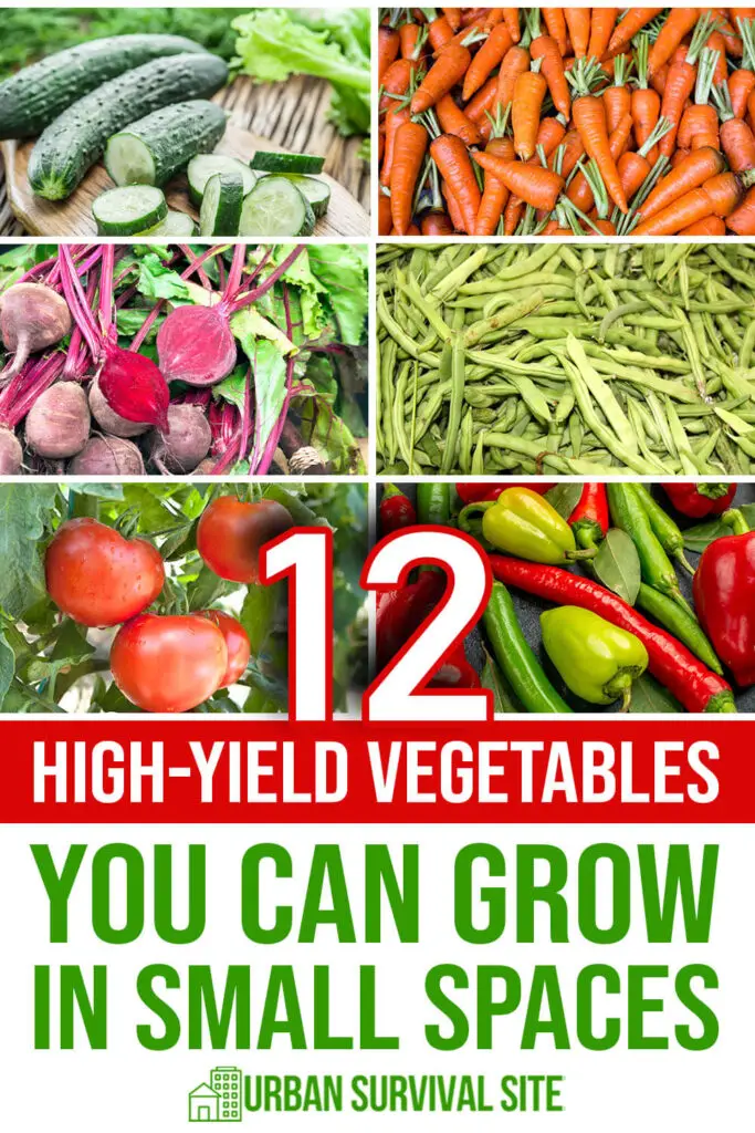 12 High-Yield Vegetables You Can Grow In Small Spaces
