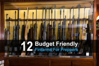 12 Budget-Friendly Firearms For Preppers