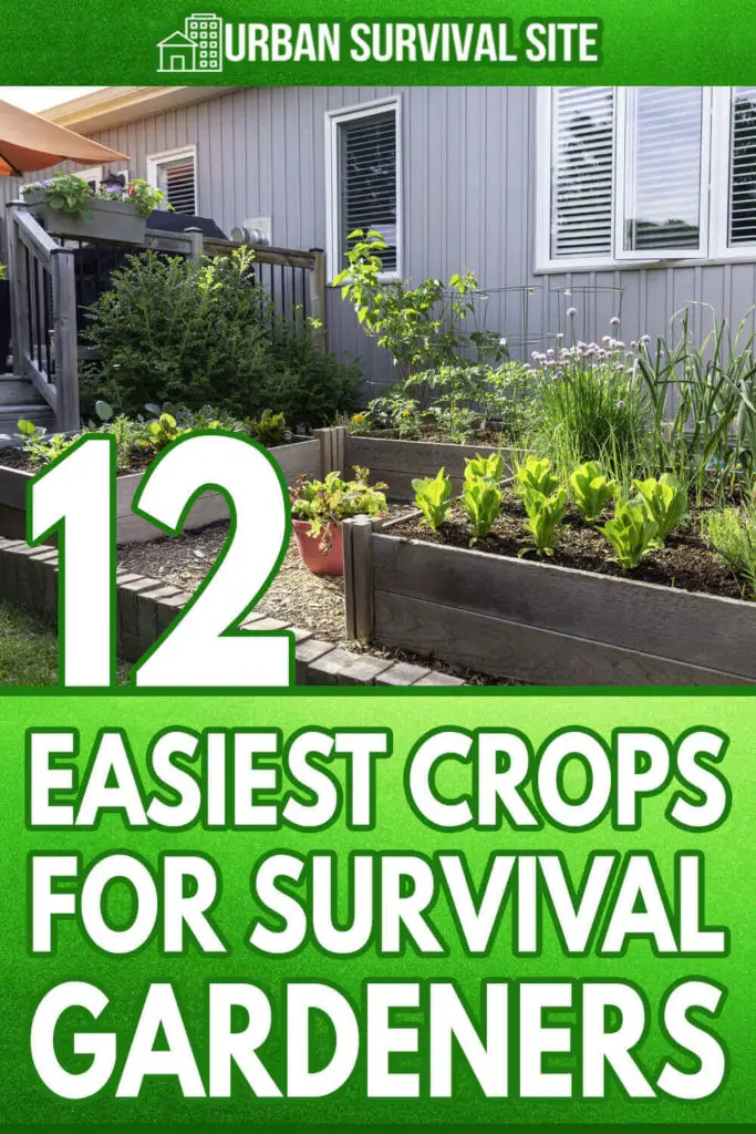 12 Easiest Crops for Survival Gardeners