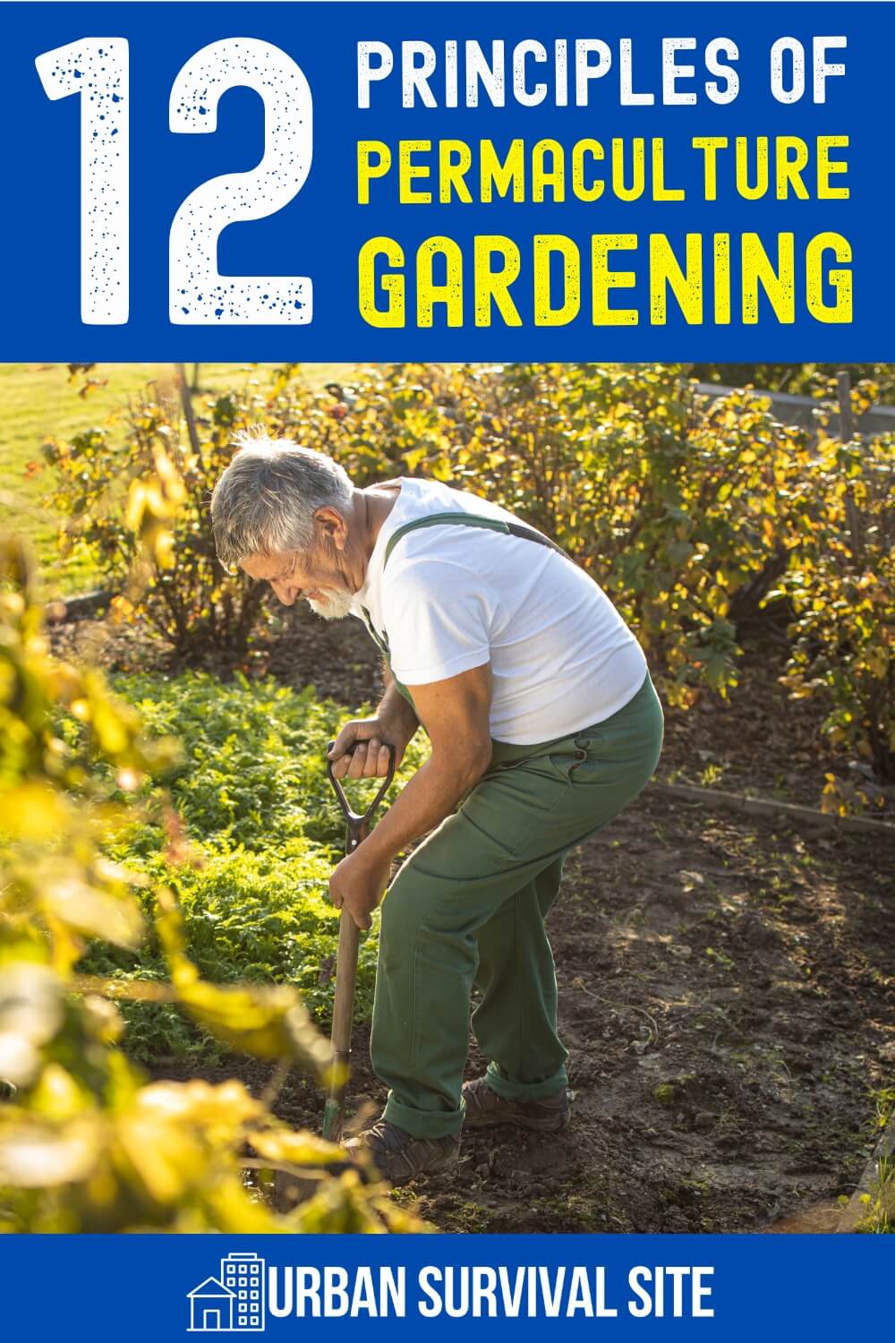 12 Principles of Permaculture Gardening