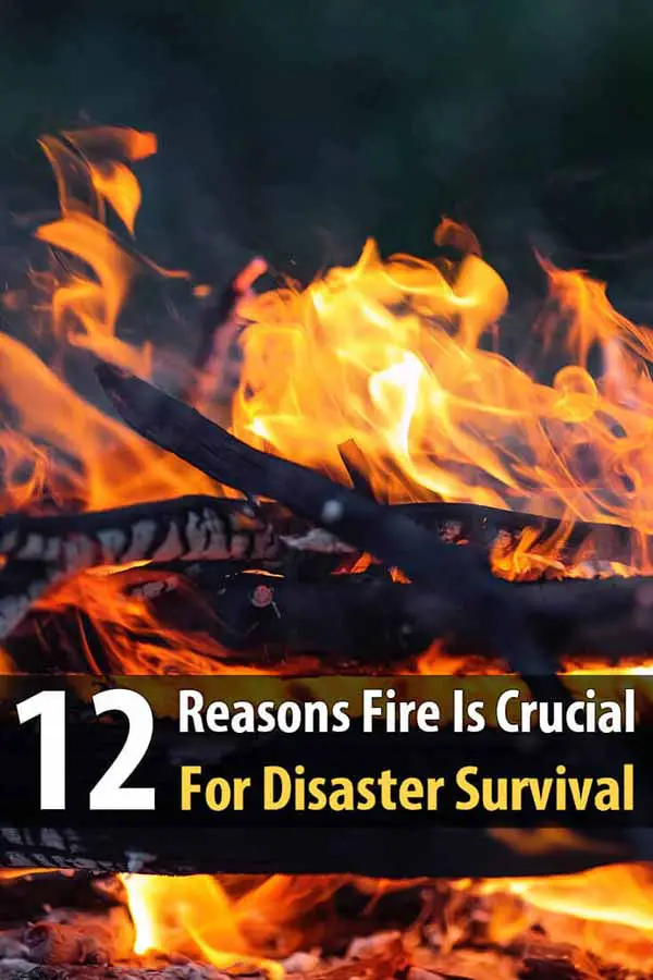 12 Reasons Fire Is Crucial For Disaster Survival