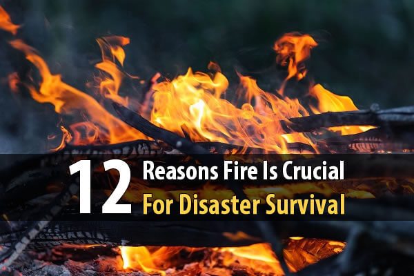 12 Reasons Fire Is Crucial For Disaster Survival