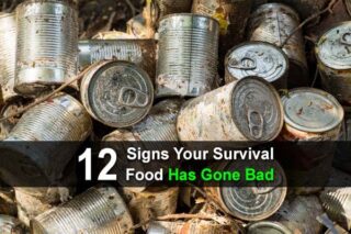 12 Signs Your Survival Food Has Gone Bad
