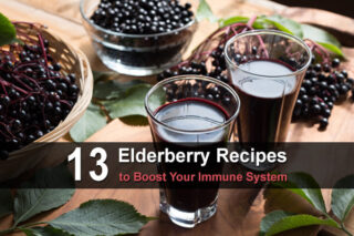13 Elderberry Recipes to Boost Your Immune System