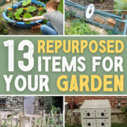 Pinterest Hidden Image