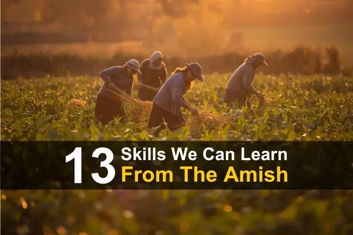 13 Skills We Can Learn From The Amish 13 Skills We Can Learn From The Amish