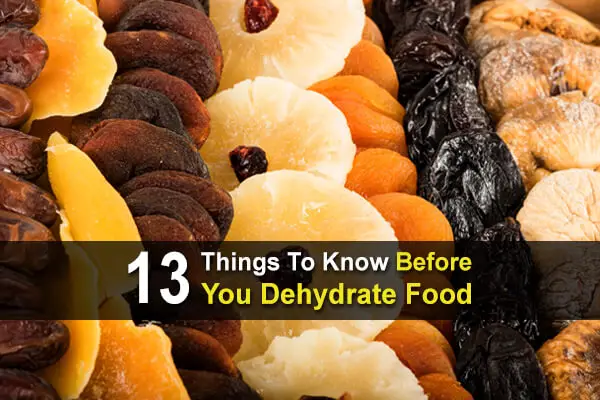 13 Things You Should Know Before Dehydrating Food