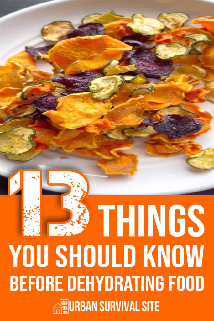 13 Things You Should Know Before Dehydrating Food