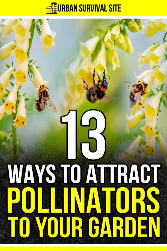13 Ways to Attract Pollinators to Your Garden