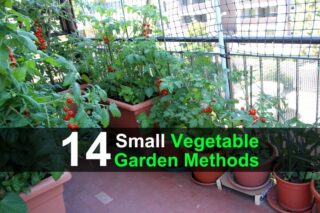14 Small Vegetable Garden Methods