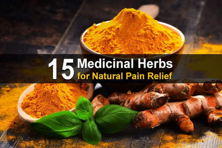 15 Medicinal Herbs To Help You Ease The Pain Naturally