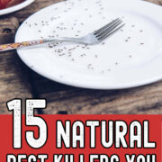 Pinterest Hidden Image