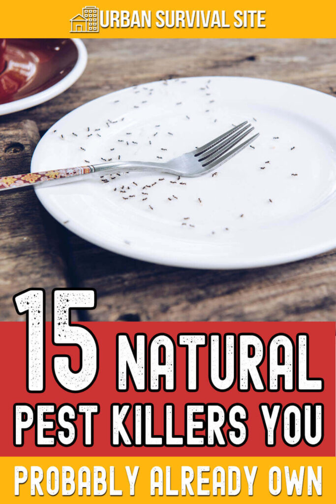 15 Natural Pest Killers You Probably Already Own