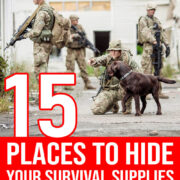 Pinterest Hidden Image