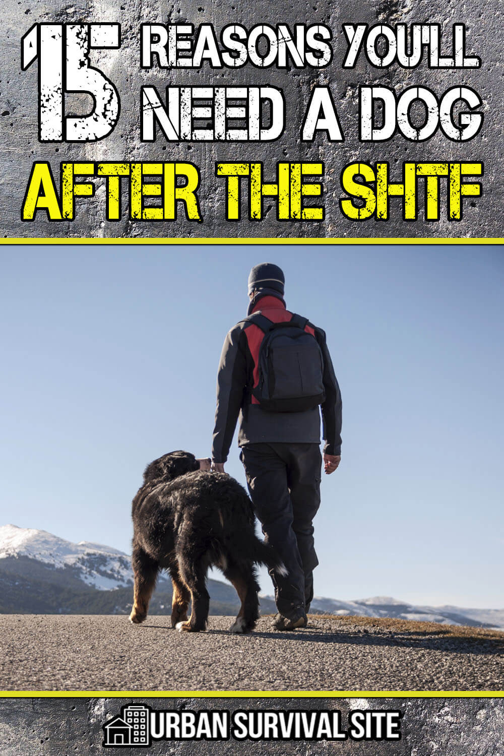 15 Reasons You'll Need A Dog After The SHTF