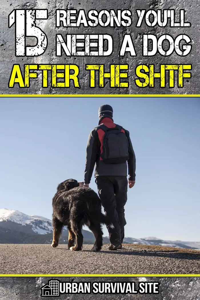 Dogs-Best Choices for SHTF Ngcb11