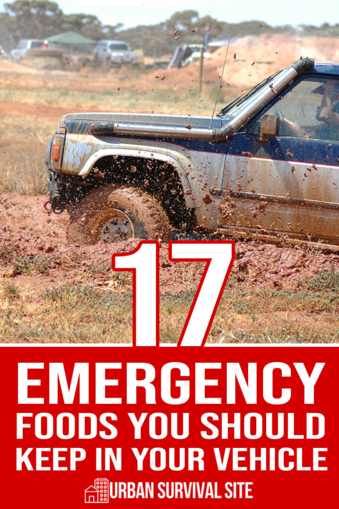17 Emergency Foods You Should Keep in Your Vehicle