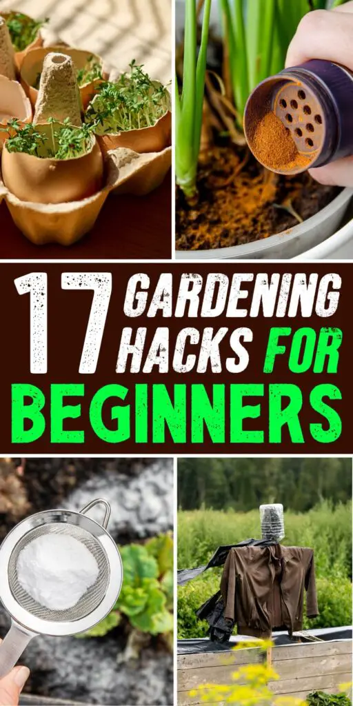 17 Gardening Hacks for Beginners
