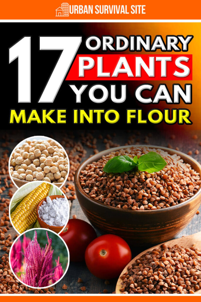 17 Ordinary Plants You Can Make Into Flour