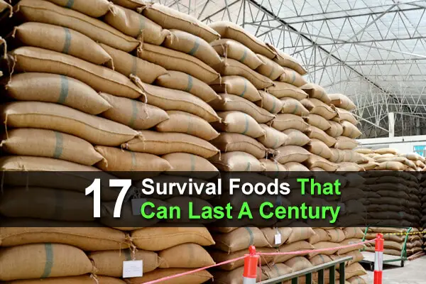 17 Survival Foods That Can Last A Century