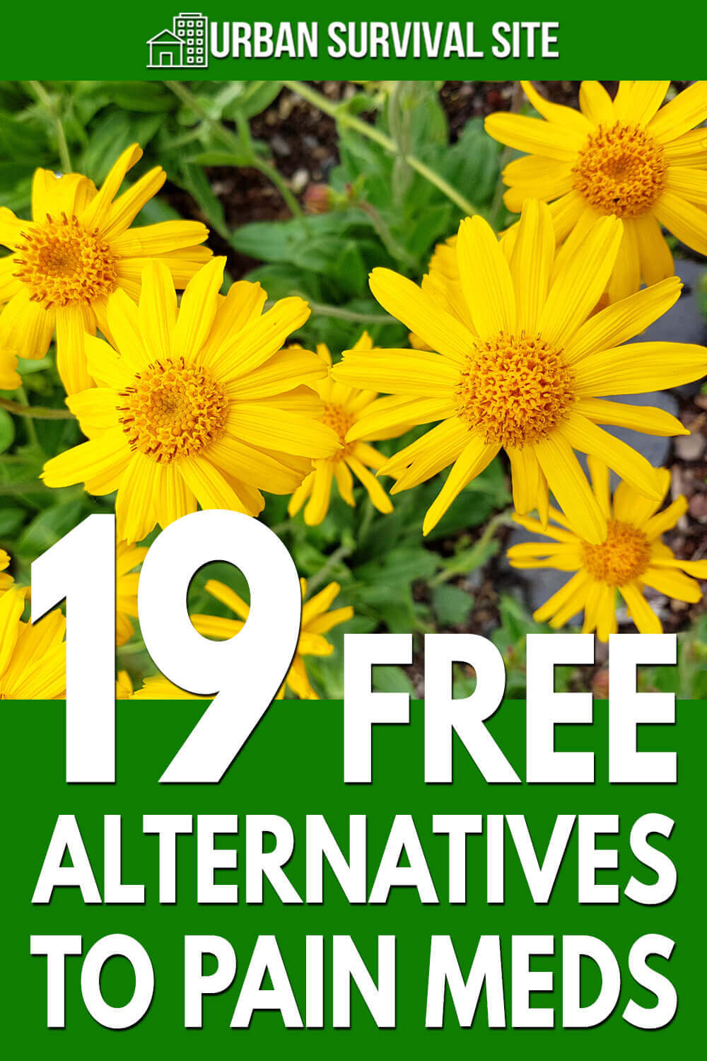 Home Remedies 19-free-alternatives-to-pain-meds-pin-1