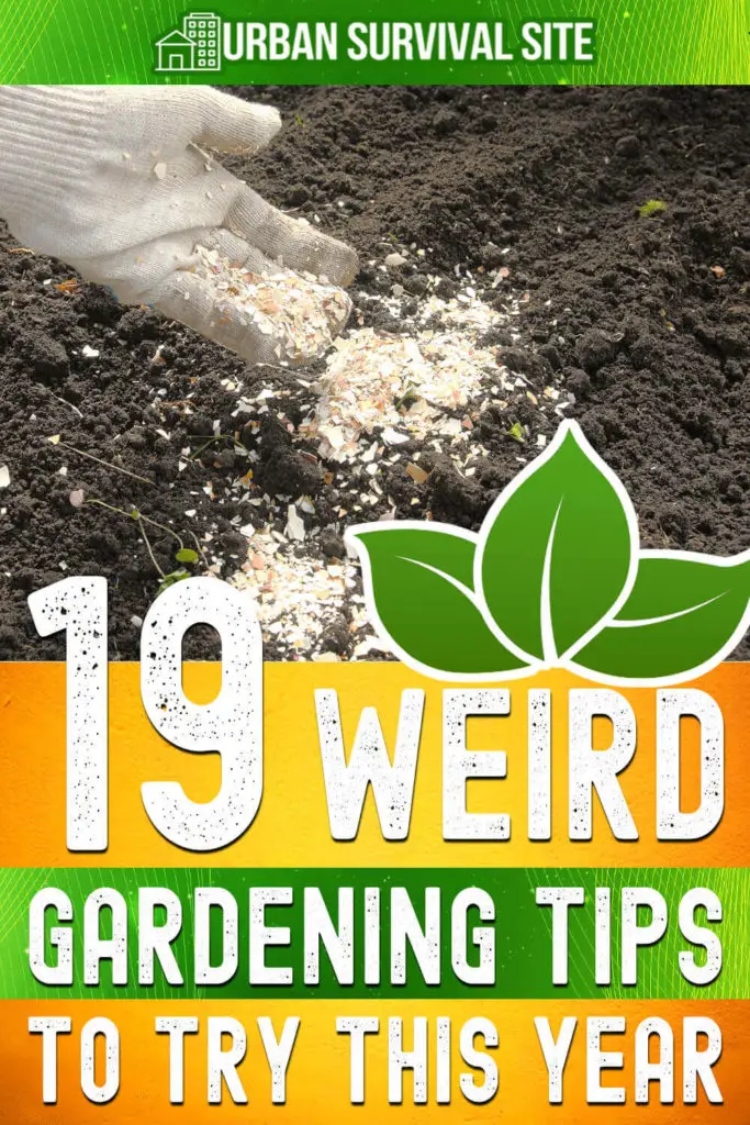 19 Weird Gardening Tips to Try This Year