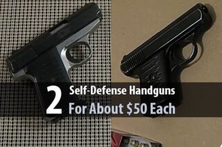 2 Self-Defense Handguns For About $50 Each
