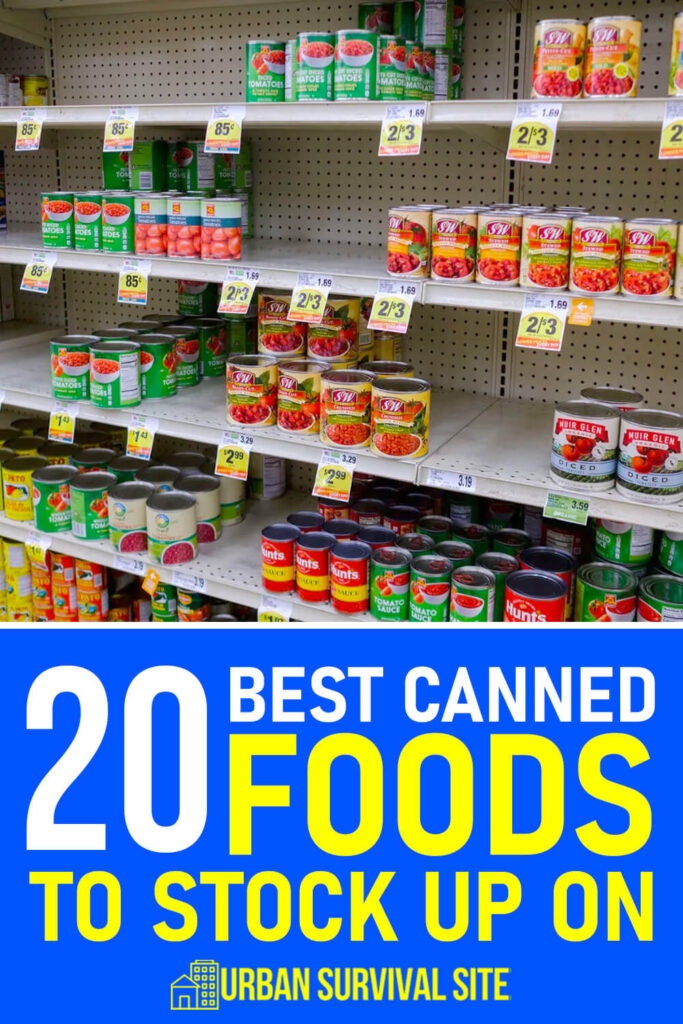 20 Best Canned Foods To Stock Up On